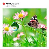 Фотобумага a4, 200 г/м2, 10л, звезда,3d,глянцевая agfa Фотобумага a4, 200 г/м2, 10л, звезда,3d,глянцевая agfa