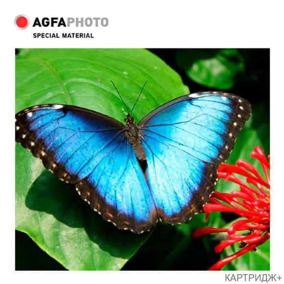 Фотобумага a4, 200 г/м2, 10л, квадрат,3d,глянцевая  agfa