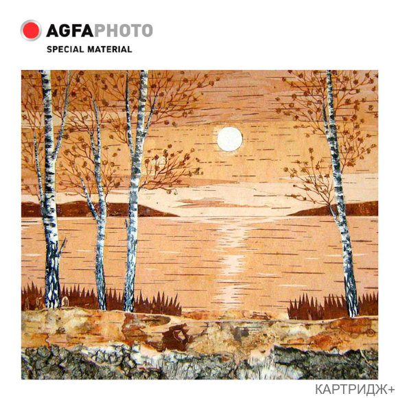 Фотобумага фактурная, глянцевая a4, 260 г/м2, 10л, береста, agfa Фотобумага фактурная, глянцевая a4, 260 г/м2, 10л, береста, agfa
